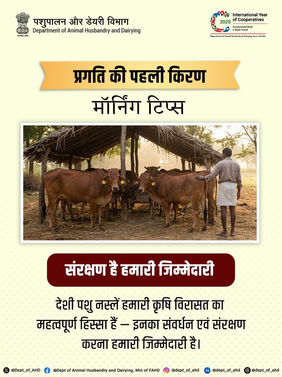 Dept_of_AHD's tweet image. देशी पशु नस्लें हमारी विरासत का अनमोल हिस्सा हैं। इनका संवर्धन एवं  संरक्षण करना सिर्फ हमारी जिम्मेदारी नहीं, बल्कि आने वाली पीढ़ियों के लिए हमारा कर्तव्य भी है।

#MorningTips #Biosecurity #AnimalHusbandry #PragatiKiPehliKiran