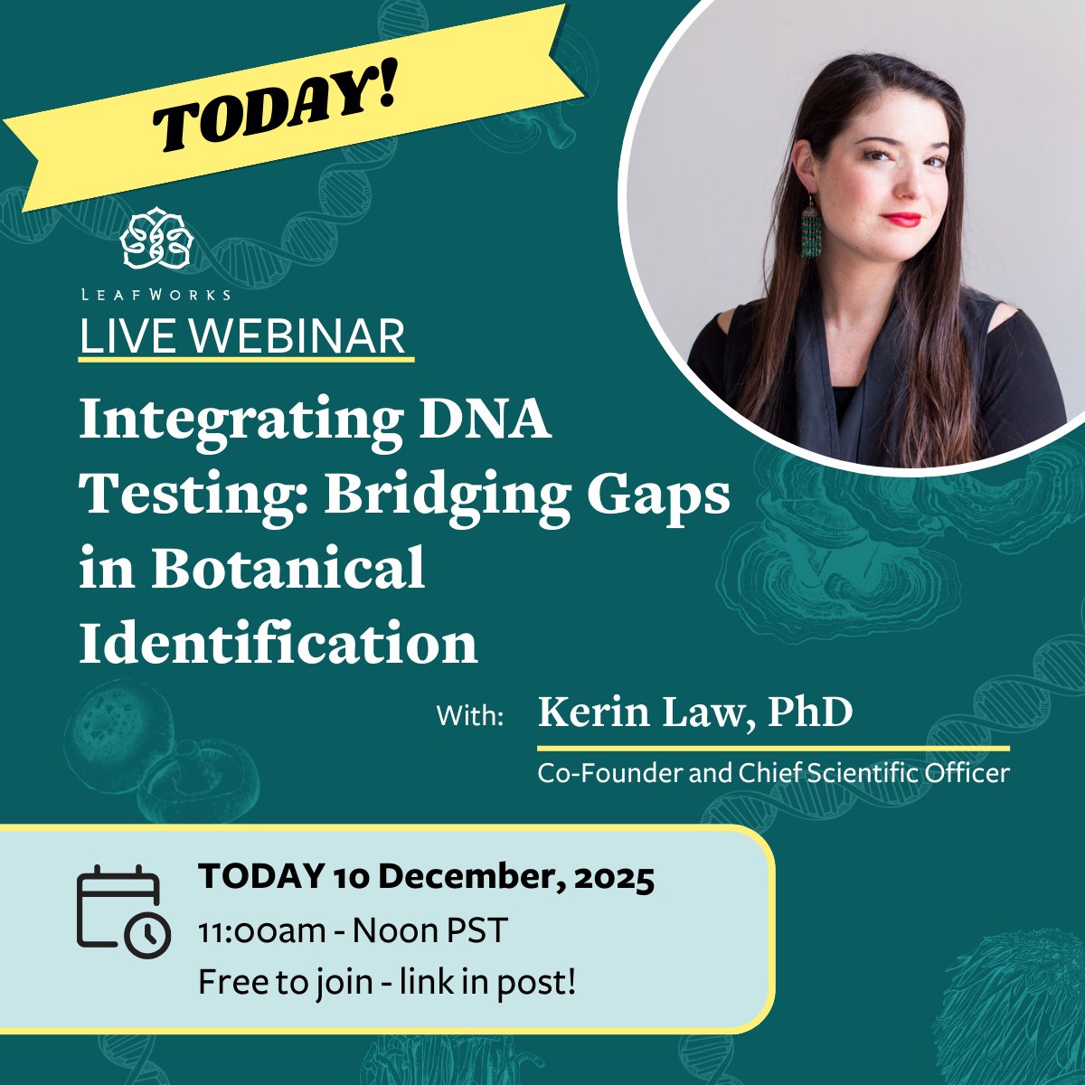 LeafWorks tweet media