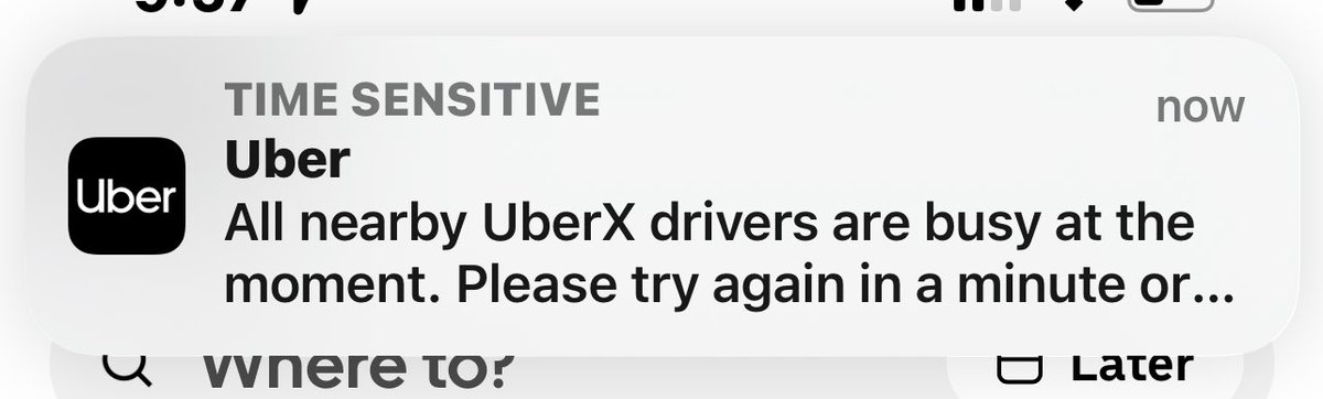 NADIE ME QUIERE LLEVAR A MI CASA