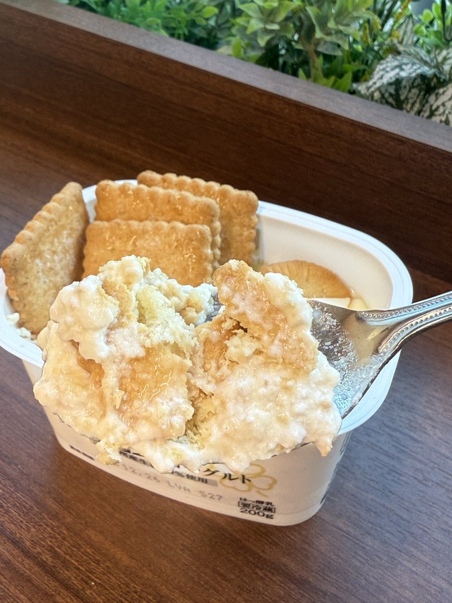 lifecorp_jp's tweet photo. 出遅れましたが、流行りのヨーグルトとサブレでチーズケーキ風
ライフのギリシャヨーグルトがおすすめらしい��で🫣

これは美味しい‼️美味しすぎる‼️
ありがとう……Xの皆さん…… https://t.co/cKJO0qu0CU