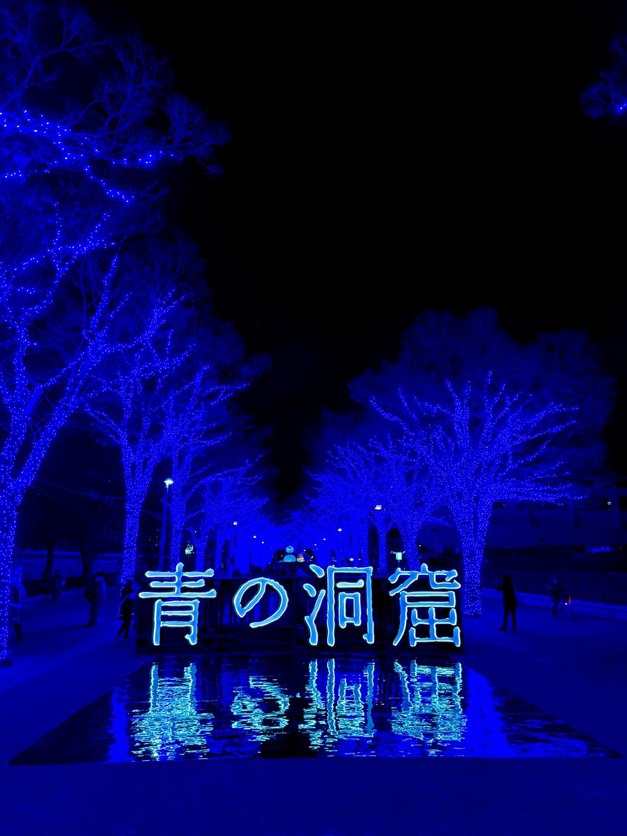 OXoxo1106's tweet photo. 今年はたくさんイルミ行けた！
そして久々風邪ひきました https://t.co/EgA7DLWgOR