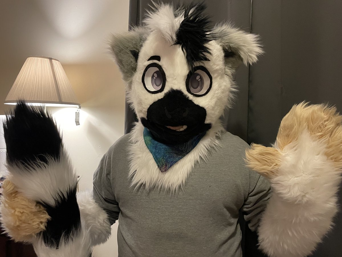 TungstenCarb 🔜 AO, Anthrocon tweet media