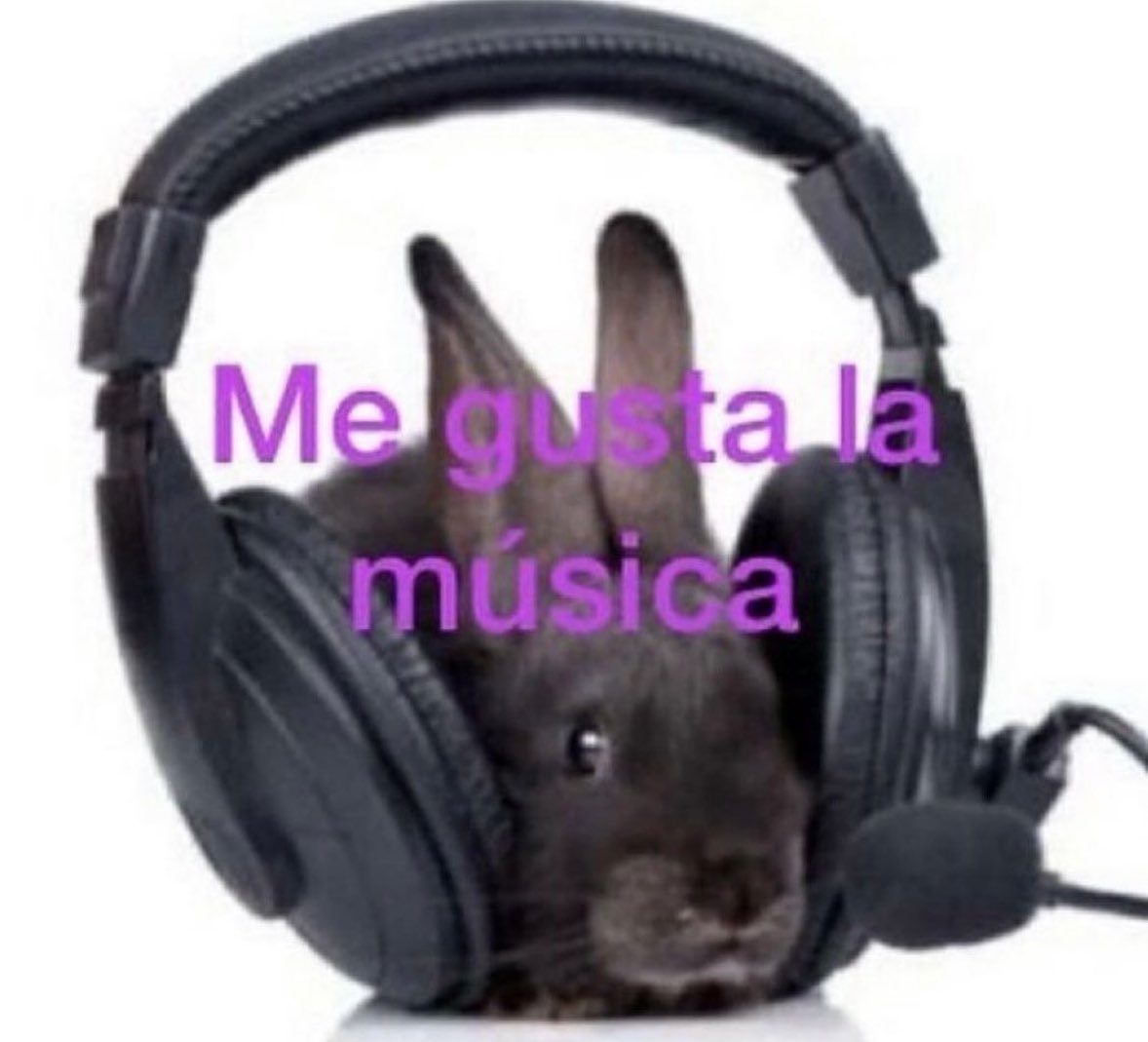 Tuxpantonic tweet media