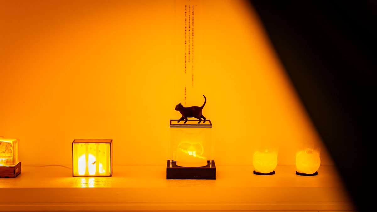 化石 (@kokonikaseki) / Posts / X