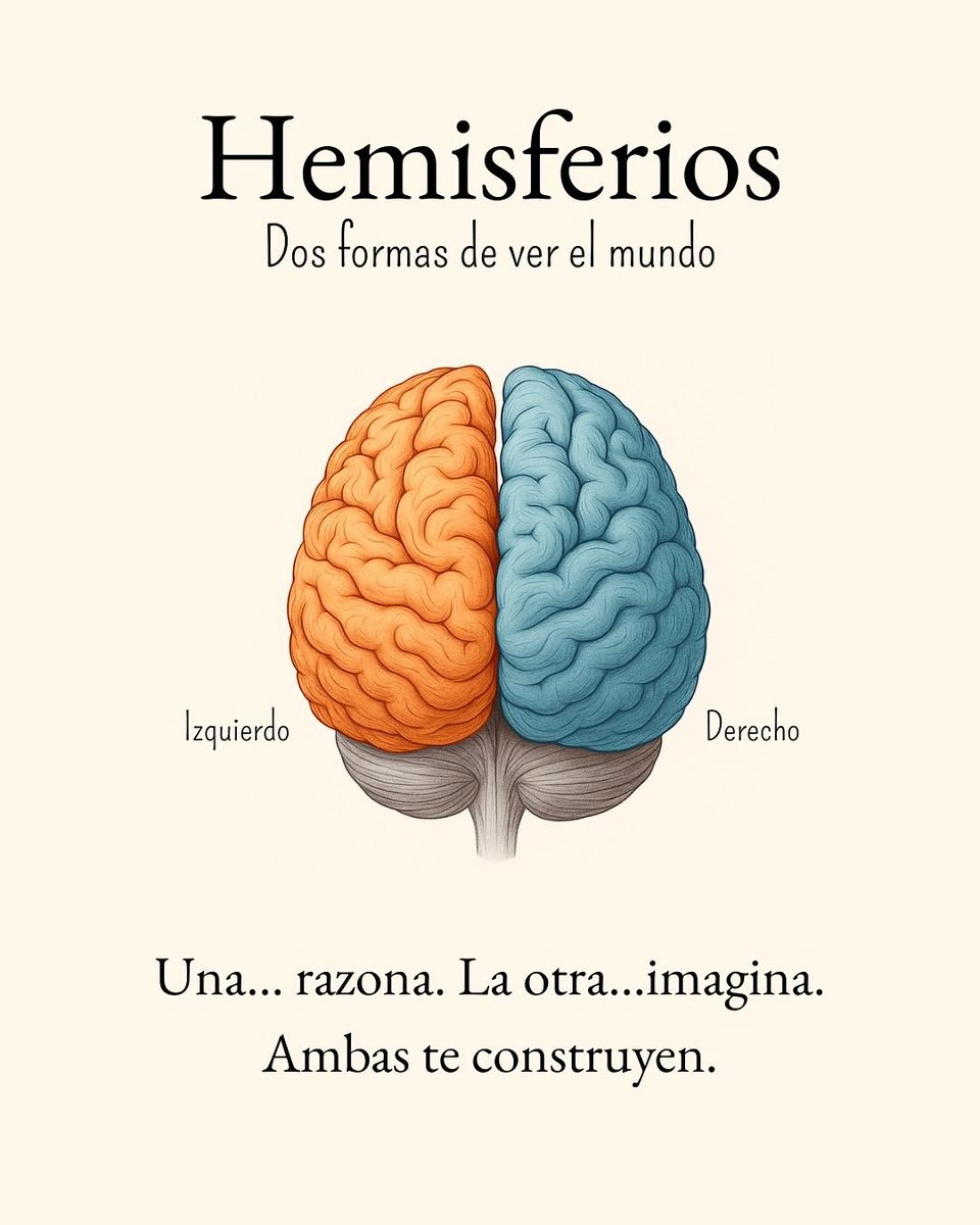ElaineSstark's tweet photo. Tu cerebro parece un solo órgano hasta que lo abres.

Dentro hay regiones que compiten, cooperan y se contradicen entre sí para decidir cada movimiento, recuerdo y emoción.

¿Quieres verlos?

1. https://t.co/6q9xVjCG8C
