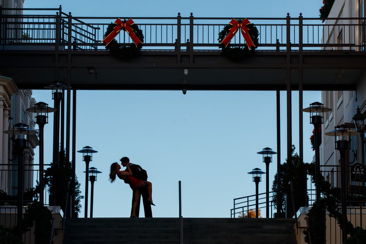 davidgrunfeld tweet media