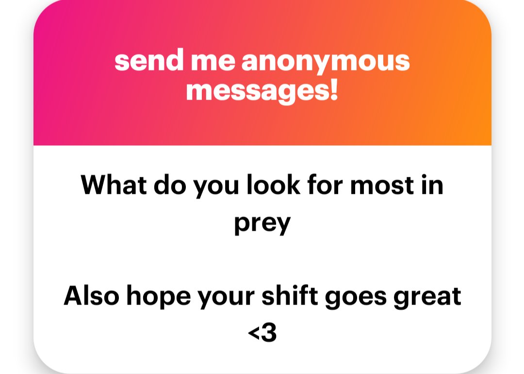 What do I look for the most in prey?

Lots of curves! Or lots of money.~

ngl.link/cattoimp