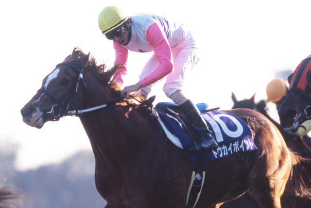 トウカイテイオー産駒唯一のGⅠ馬｡渋い馬だったなあ｡R.I.P