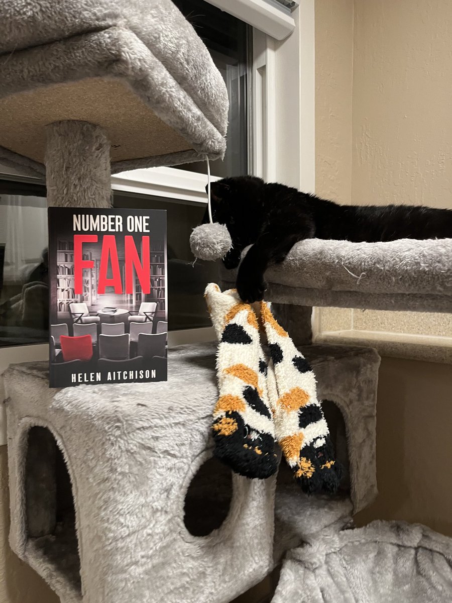 lorriemartinez's tweet photo. Loving the latest book from ⁦@erics_escapades⁩ Mam the brilliant, talented, prolific and lovely ⁦@aitchisonwrites⁩ 📚🏆🌹Kitty loves the socks you gave me 😻🐈‍⬛ I’m trying to wait to read 📕it this weekend but can’t put it down. Another winner my friend! #NumberOneFan https://t.co/q6UpmndIUx