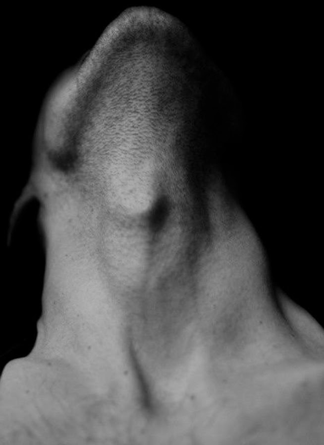 SmartassLisa's tweet photo. 11/20 – 11/22 Prompts
@Eroticismfan
#EFNov
📸: Unknown – Prompt Photo         

Standing there, blindfolded and with his head tilted back, his throat and chest #exposed, he felt a thrill of anticipation. He was curious about what Mistress Kim had #proposed for him that evening. With a genuine enthusiasm for sharing and exploration, Mistress Kim prepared the space by lighting candles, setting the stage for an enlightening experience centered around pain, control, and self-discovery—a bold proposal for their journey together.

As the warm wax dripped gently onto his bare chest, focusing on his nipples, he could sense the unique sensations unfolding. The delightful warmth surprised him, awakening feelings he hadn’t anticipated. Each droplet came with a mix of exhilaration and intrigue, making him feel both exposed and exhilarated, illuminating a path he hadn’t expected to explore.

In this shared journey, he felt both vulnerable and liberated, aware that his experience was unfolding in a safe space filled with trust and learning. It felt #unreal, a surreal adventure that promised growth and deeper connections.