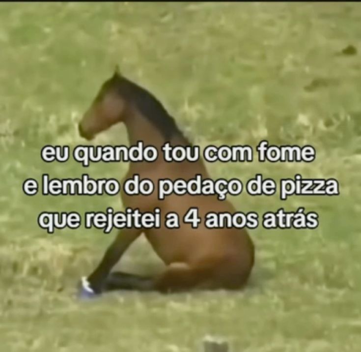 iti malias tweet media