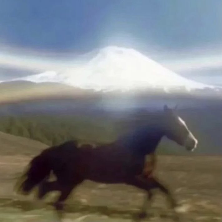 _GuadaM's tweet image. mi novio no sabía que es un calendario de adviento ni quien es anto racca