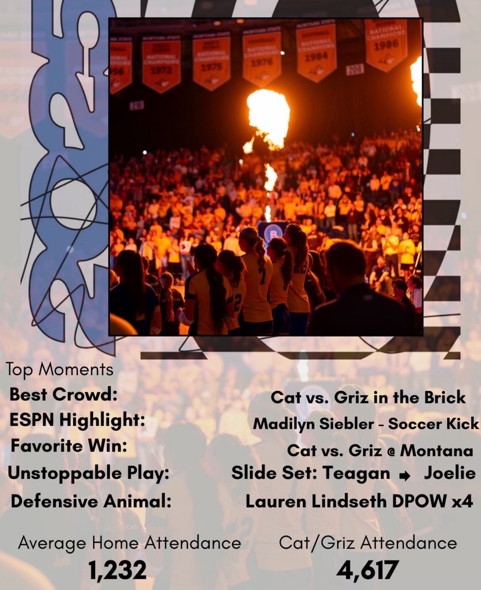 Montana State VB tweet media