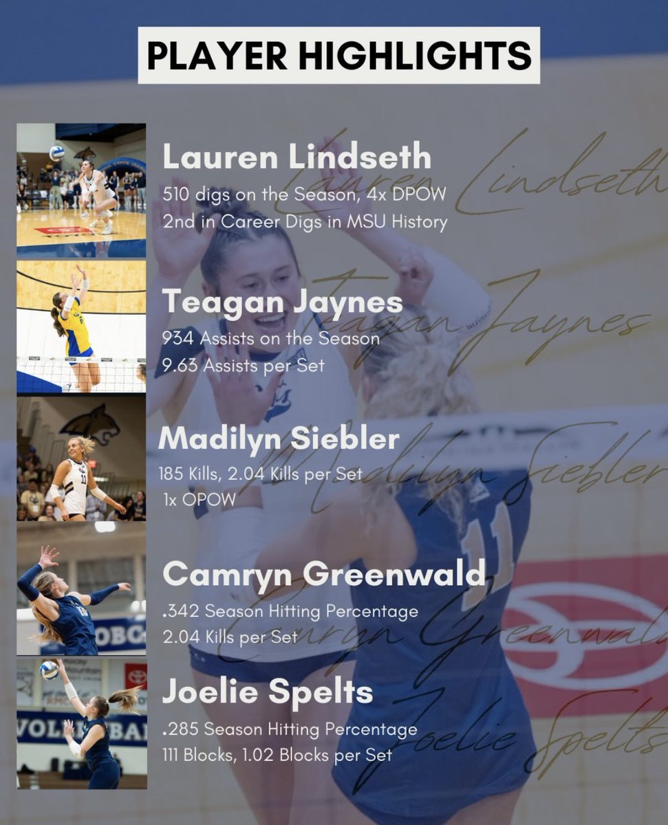 Montana State VB tweet media