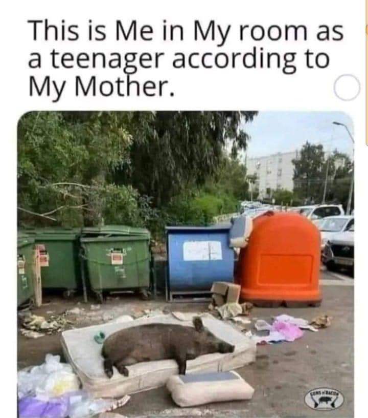 SpillTheMemes's tweet photo. 😂 https://t.co/EQKUfEFNNy