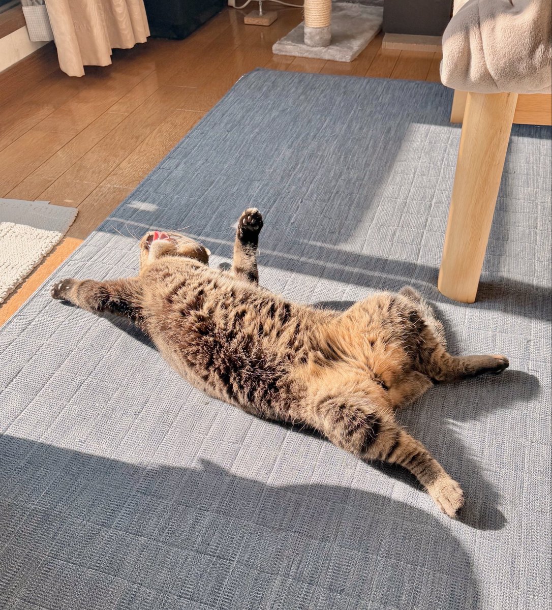 すまいる (@smilesnr) / Posts / X