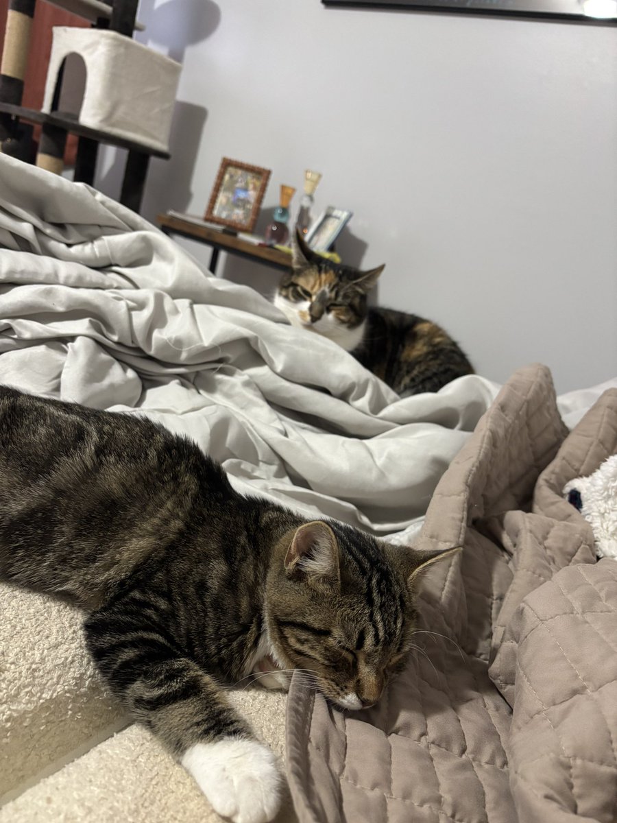 we’ve got some sleepies here