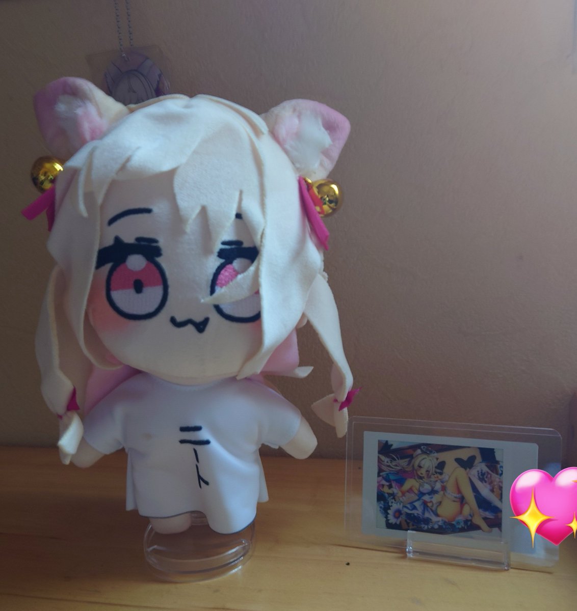 ひだりきき🦋🌟:🐈️🌸 tweet media