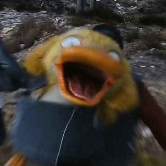 -Oye pero no te vayas a estresar... 
Yo: