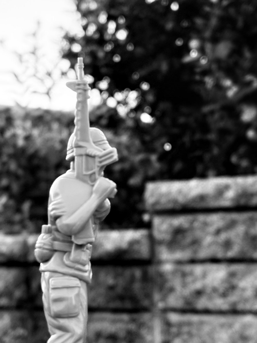 Dnasty0014Y3l's tweet image. #YellowBenjamin
#GreenArmy
#BallPython
#ボールパイソン