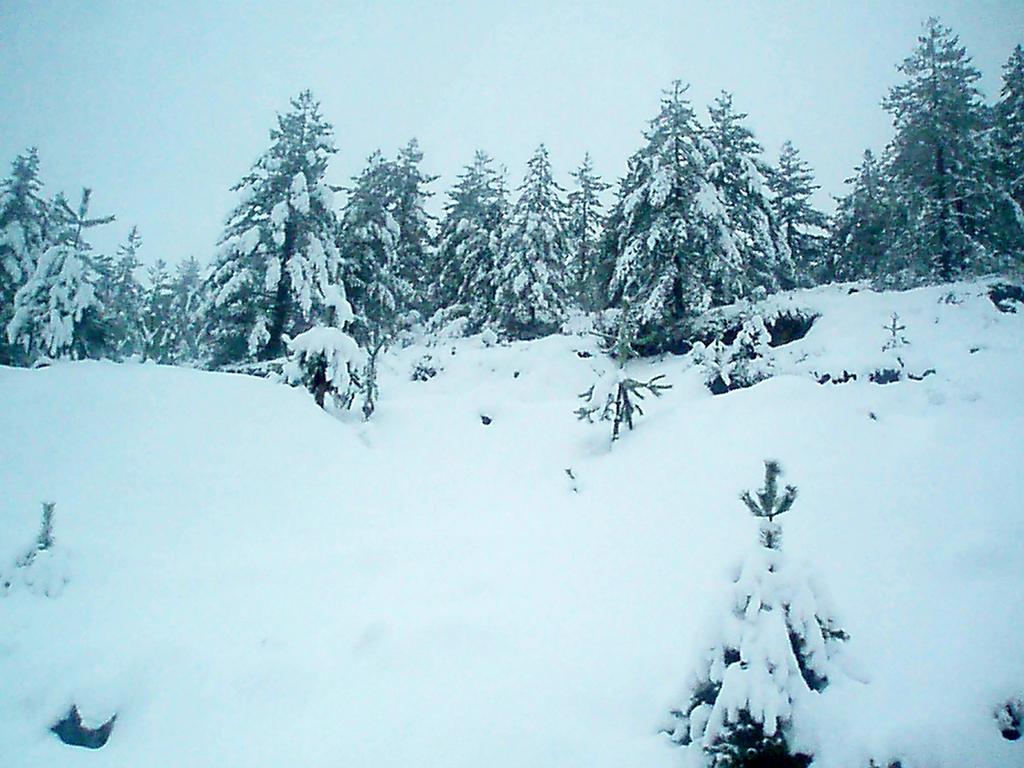 Μην μιλάς  .....
Το χιόνι ξέρει 
καλύτερα τα μυστικά μας .....
📸 .........