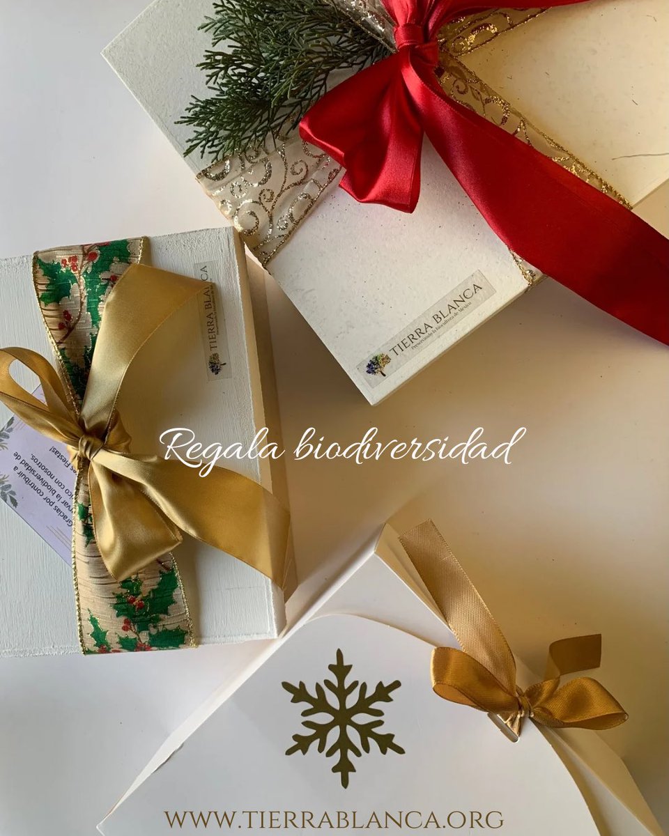 TierraBlancaMx's tweet photo. Visita nuestra sección de regalos y kits aquí https://t.co/Np8DgdKj8n https://t.co/YWxvmvWBbm