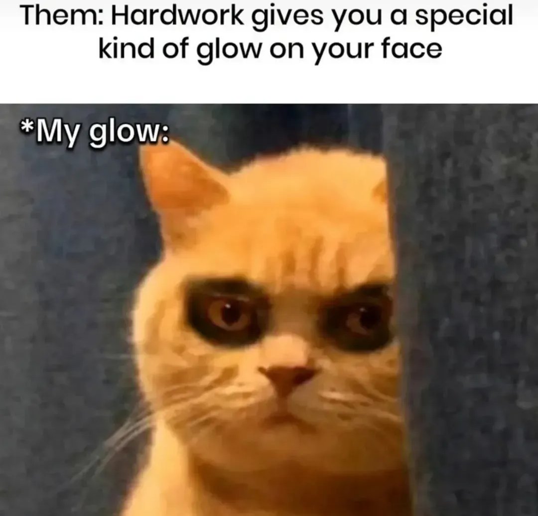 Dylan Storer tweet media