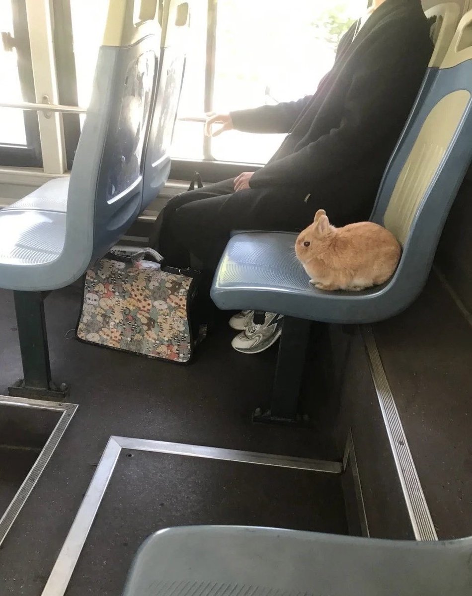 Brighterswift13's tweet photo. 🚨Soobin spotted on train https://t.co/MJhDMyDMAW