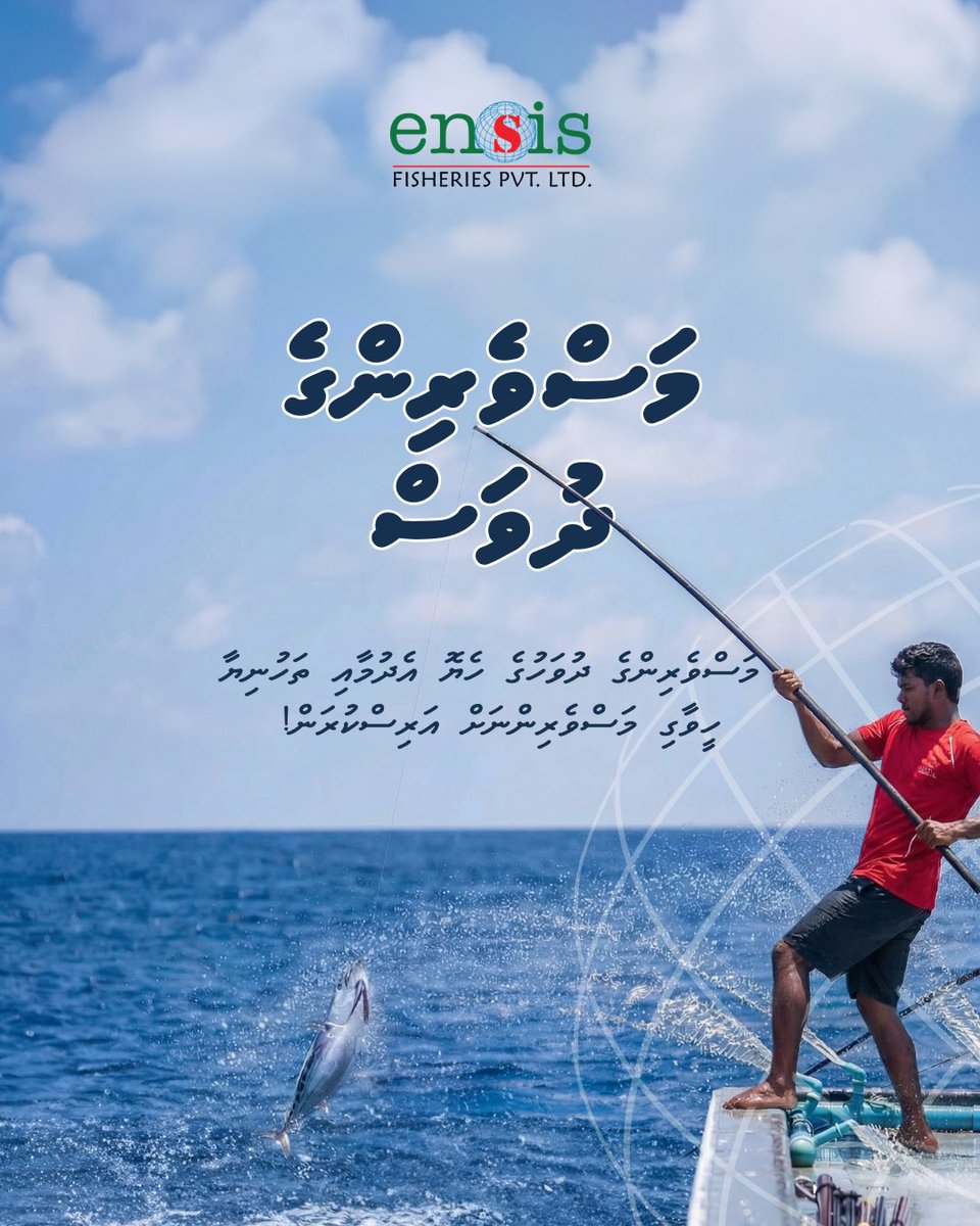 ensisgroup's tweet image. މަސްވެރިންގެ ދުވަހުގެ ތަޙްނިޔާ ދިވެހިރާއްޖޭގެ ލޮބުވެތި ހުރިހާ މަސްވެރިންނަށް އަރިސްކުރަން!

#fishermensday2024