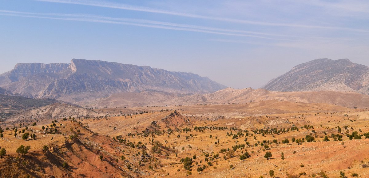 PNASNews tweet media