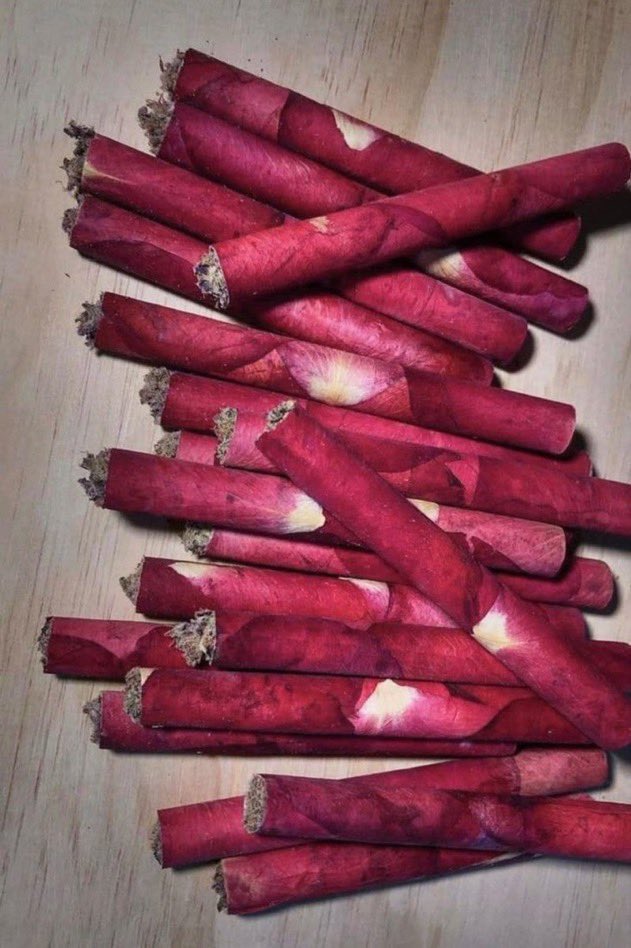 _StonersRUs_'s tweet photo. Rose petal blunts 🌹💨 https://t.co/OEG1TwQlLB