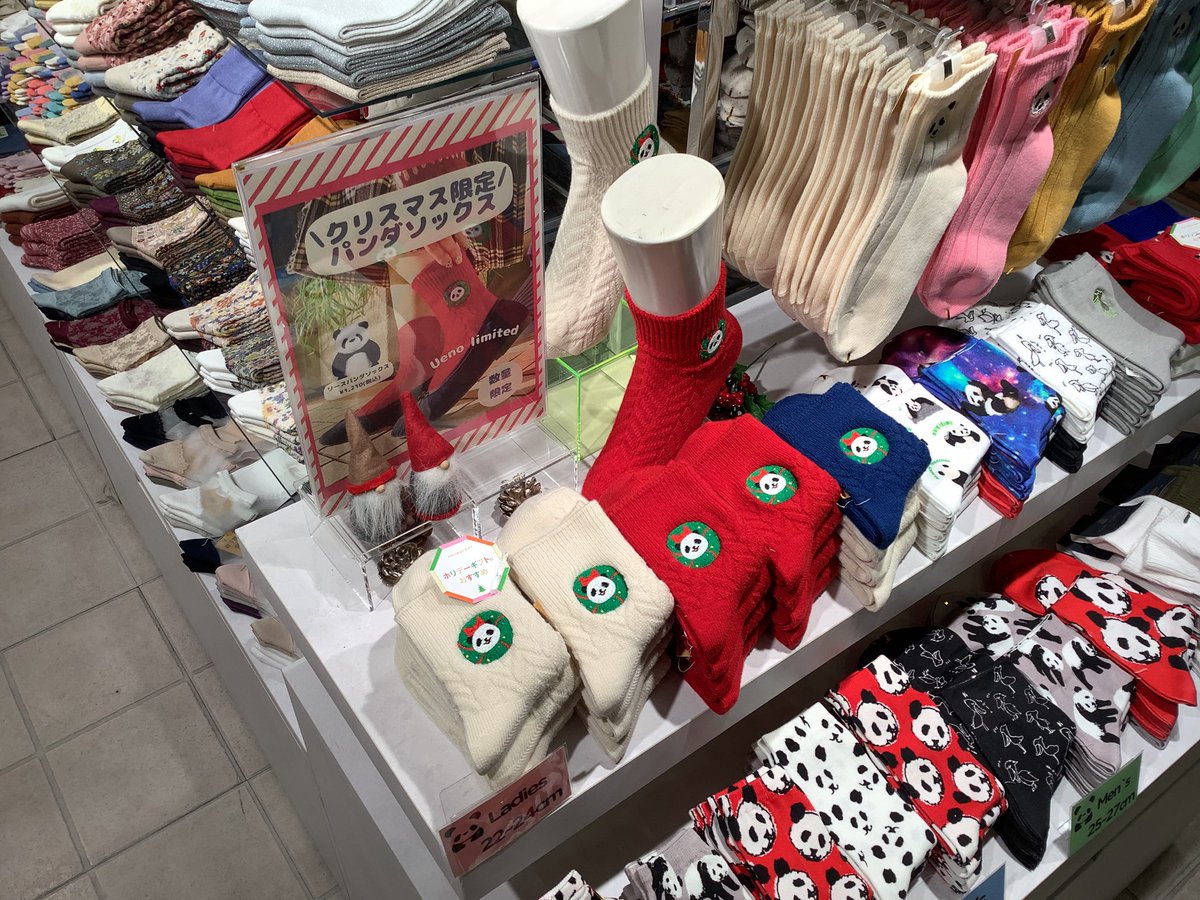 パンダまみれ〜🐼 カワイイ✨