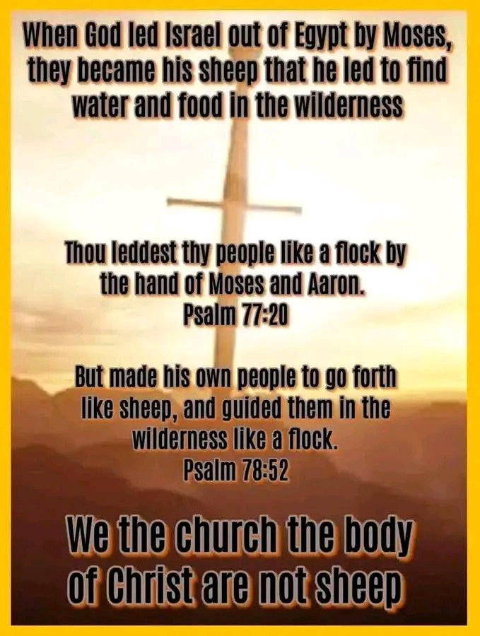 Acts 13:38 Be it known unto you therefore, men and brethren, that through this man is preached unto you the forgiveness of sins:

Acts 13:39 And by him all that believe are justified from all things, from which ye could not be justified by the law of Moses.