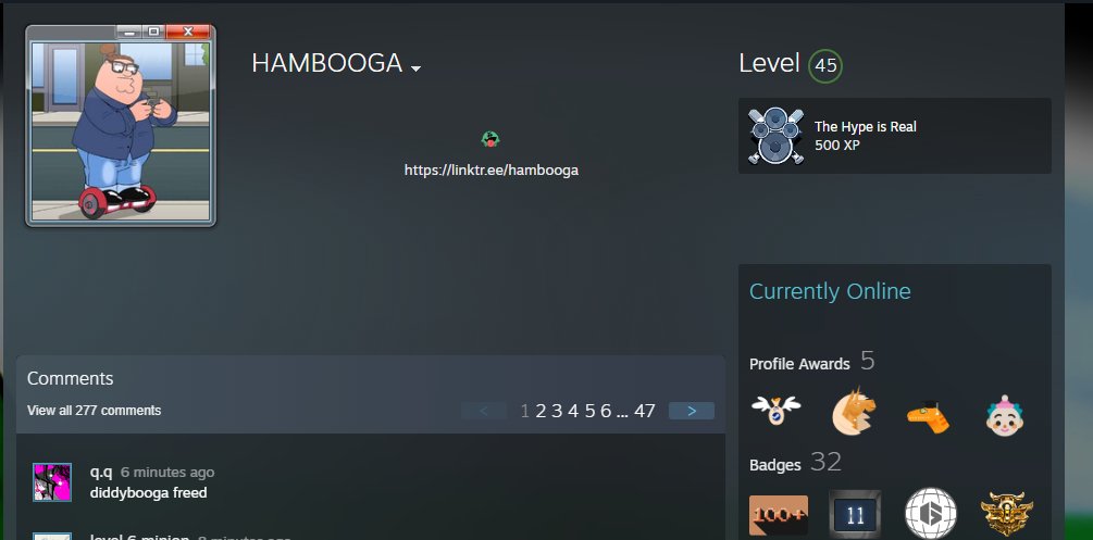 HAMBOOGA tweet media