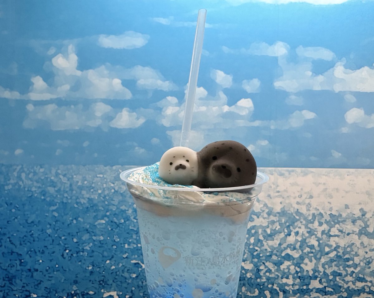 昨日、えのすいのココアちゃんに会いに行ってきました！ お別れを