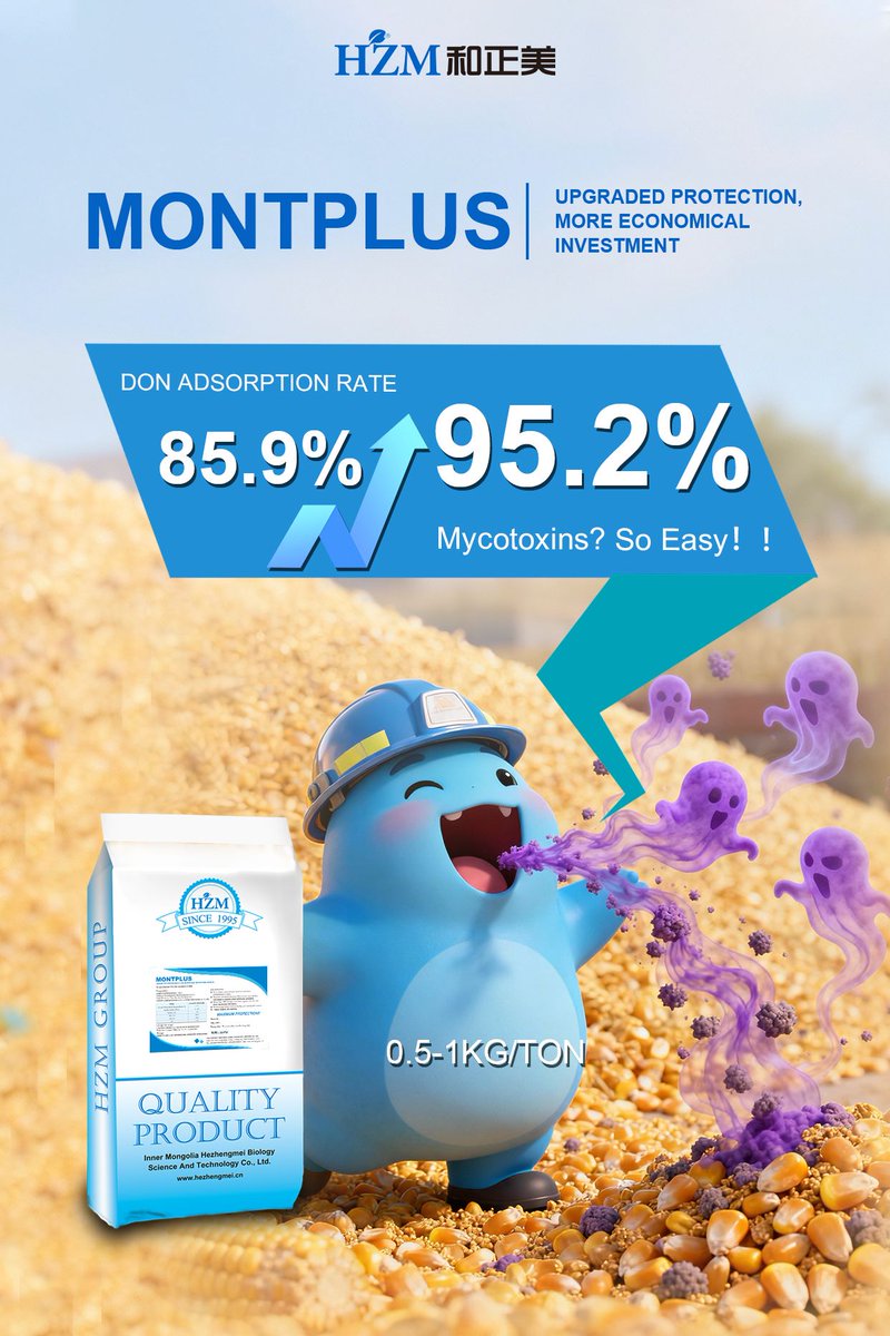 Brit16525Zhang's tweet image. Broad spectrum #mycotoxinbinder - MONTPLUS
1. Solve the problems caused by many #toxins, such as DON, AFB, ZEA, FUM, OTA, T-2 Toxin etc.
2. Natural, and no side effect, prevent &amp;amp; treat #diarrhea 
3. Protect animal #guthealth, repair damaged intestines
Whatsapp: +86-15910620561