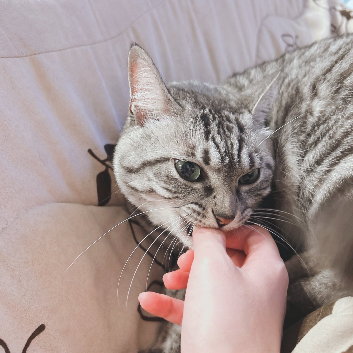 ⚠️ 撫ですぎ注意 ⚠️