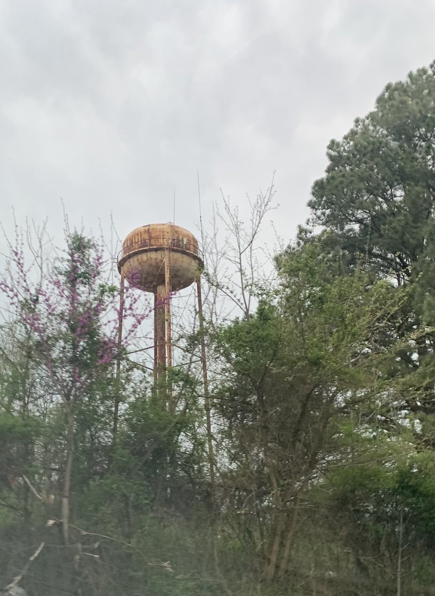 Shirley Cummins tweet media