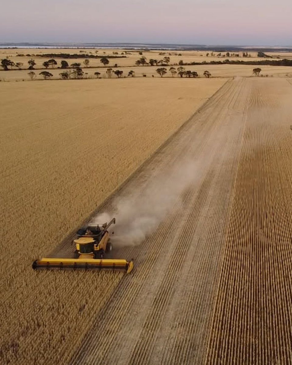 CBH Group tweet media