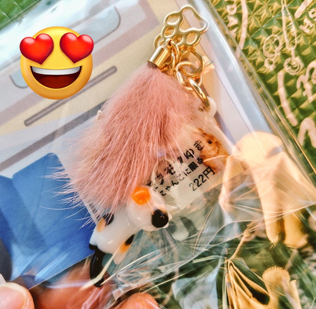 14にゃんこ🐾 (@mtom0209) / Posts / X