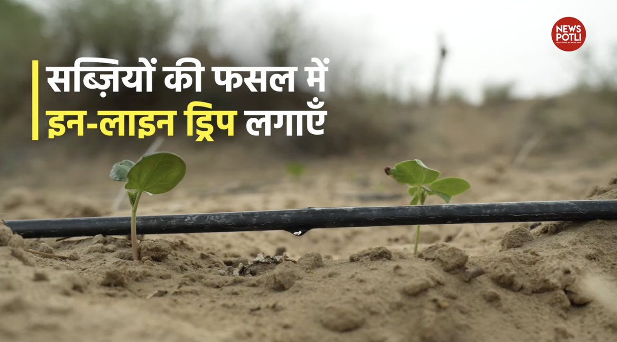 PotliNews's tweet image. क्या आप इन-लाइन और ऑन-लाइन ड्रिप इरीगेशन के बारे में जानते हैं?
इन दोनों में अंतर क्या है?
किस तरह की फसल के लिए ये इस्तेमाल किए जाते हैं?

सब यहाँ समझिए  - youtu.be/kQ8u3JRfsG0?si…

#NewsPotli #dripirrigation #farming #savewater #kisan #agriculture #irrigation