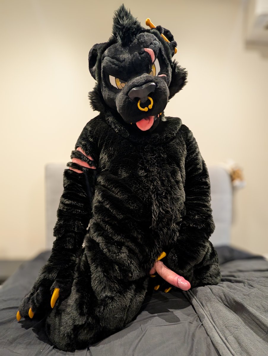 JagginAfterDark's tweet image. Cats don't usually bury bones, but I have a bone that needs burying, can you come help me out?

📸: @ADeersAD