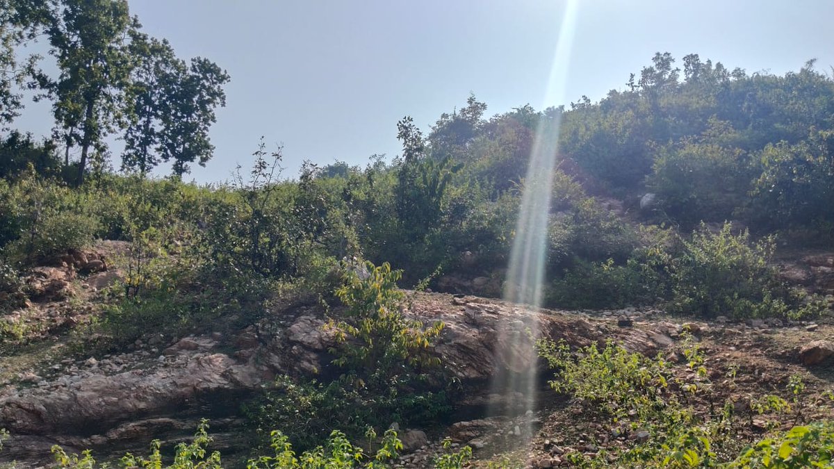 _Binit_Raj's tweet photo. रास्ते में फिर वही पेरौ के चक्कर आ गया..! 
जनवरी गुजरा नहीं कि दिसम्बर आ गया...!! https://t.co/tW7U0zpL2U