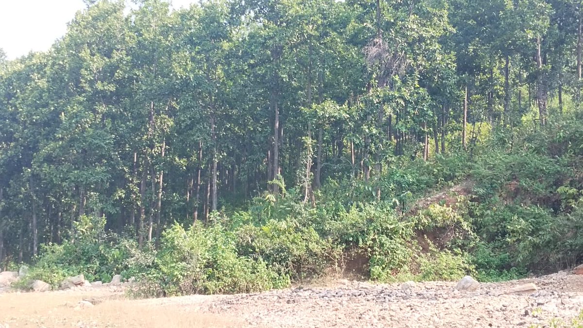 _Binit_Raj's tweet photo. रास्ते में फिर वही पेरौ के चक्कर आ गया..! 
जनवरी गुजरा नहीं कि दिसम्बर आ गया...!! https://t.co/tW7U0zpL2U