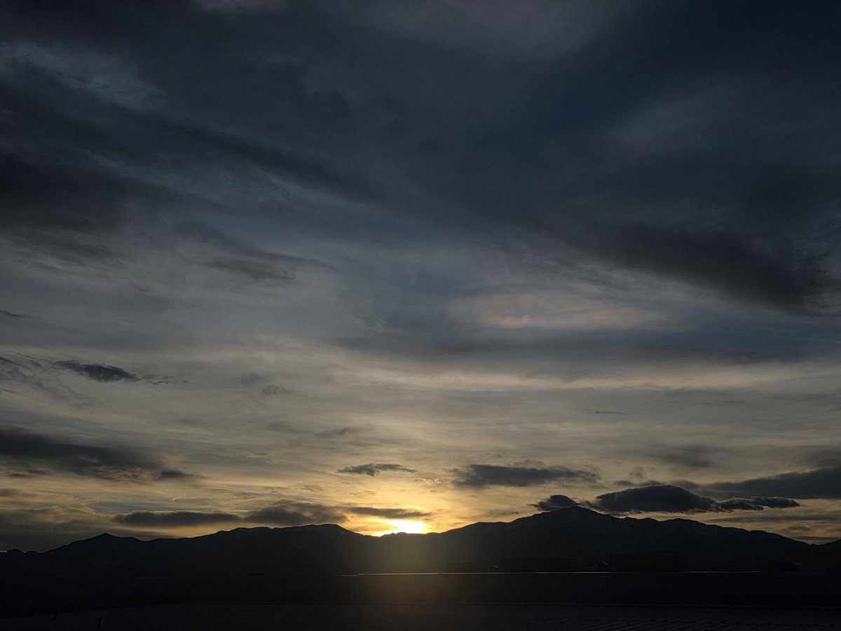 🌻 J-V tweet media