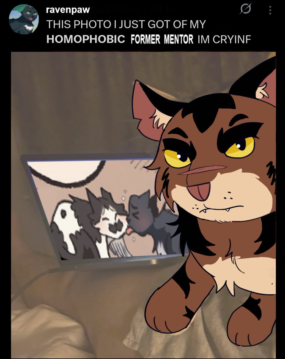 Furreyra tweet media