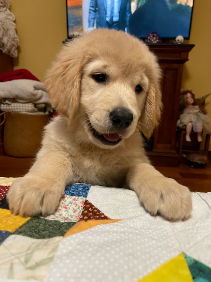 Best Of Photography (@graphiphoto) on Twitter photo 