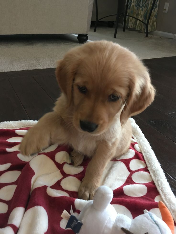 Best Of Photography (@graphiphoto) on Twitter photo 