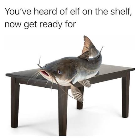 The State Champ (@6astatechamp) on Twitter photo 