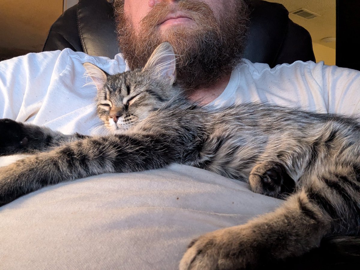 HowdyManHall's tweet image. Someone sure does love her daddy!! #kitty #sleepy #CatDistributionSystem